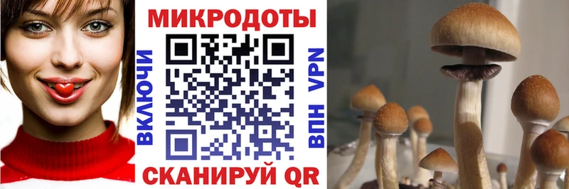 купить сайты Венёв Галлюциногенные грибы ЛСД